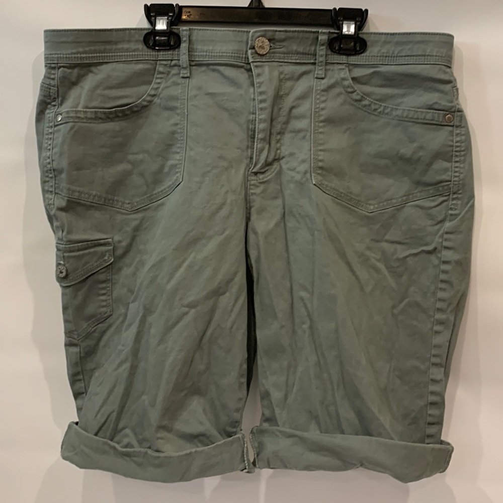 Gloria Vanderbilt shorts, pockets, green/gray -ish, size 16P, petite